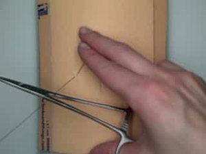 Subcuticular or Intradermal Suturing 5899 Subcuticular or Intradermal Suturing 5899