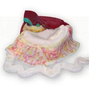 Cholecystenterostomy Model 5996