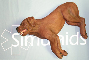 CasPeR the CPR Dog 9025 CasPeR the CPR Dog 9025