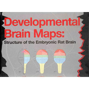 Developmental Brain Maps: Structure of the Embryonic Rat Brain