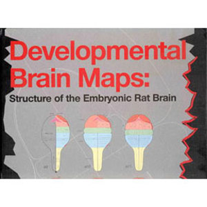 Developmental Brain Maps 7106