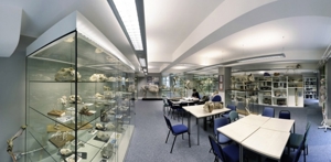 Online Veterinary Anatomy Museum 9055