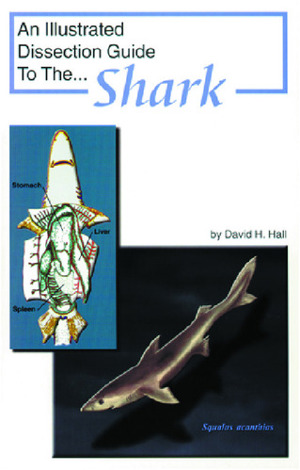 Illustrated Dissection Guides Shark Guide