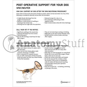 Post Operative Support For Your Dog Spay:Neuter (Printable PDF) Post Operative Support For Your Dog Spay:Neuter (Printable PDF)
