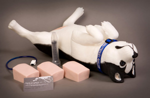 Cysto Dog Manikin 9088