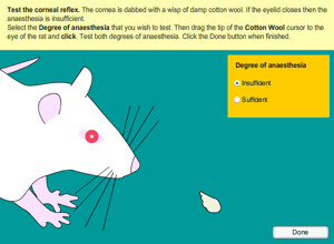 Rat Blood Pressure 4447 Rat Blood Pressure 4447