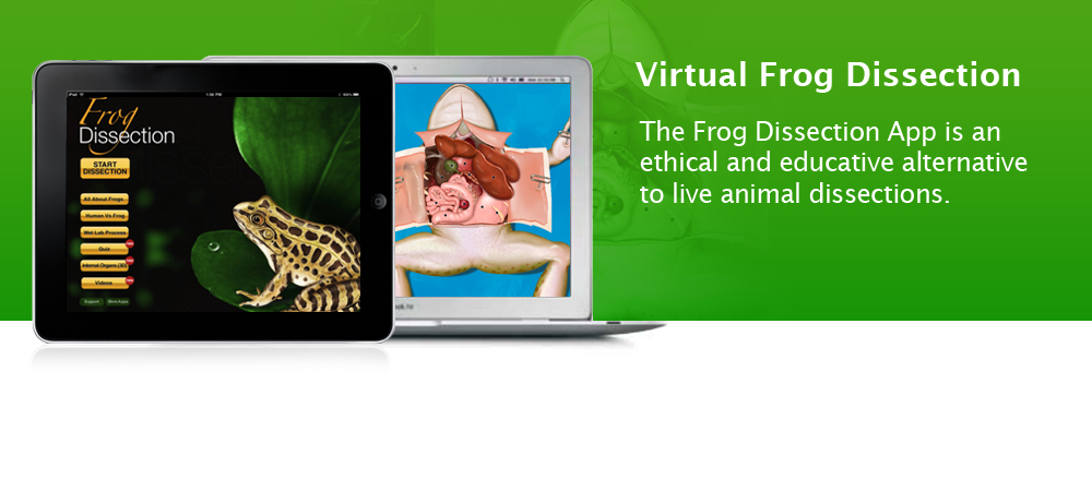 virtual frog dissection websites