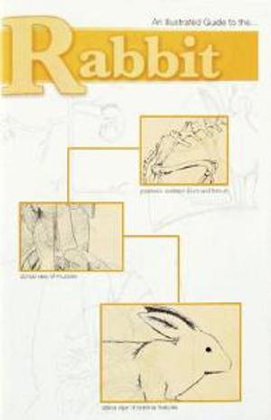 Rabbit Dissection Guide (An Illustrated Guide to the Rabbit)