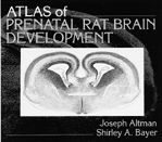 Atlas of Prenatal Rat Brain Development