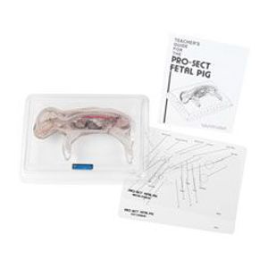 Pro-Sect Fetal Pig (Nasco)(1) Pro-Sect Fetal Pig (Nasco)(1)