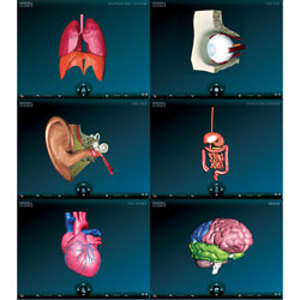 Dissectibles: Interactive Dissectible Organs CD-ROM Set