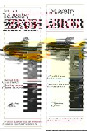 8374 8374