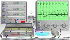 SimNerv II 9196(1)