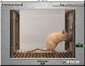 CyberRat 9313 CyberRat 9313