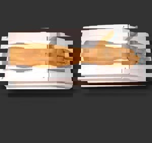 Endo Radial Artery Trainer 9315