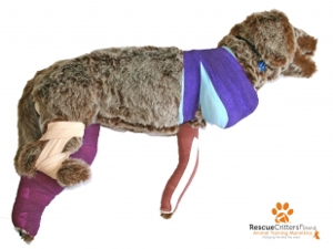 Rufus Bandaging Mannikin New Rufus Bandaging Mannikin New