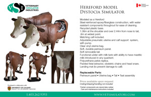 Hereford Dystocia Simulator 5929 Hereford Dystocia Simulator 5929