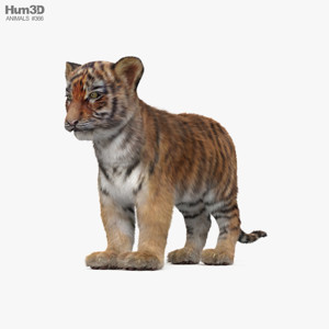 Tiger Cub 3D Model