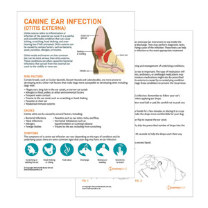 Canine Ear Infection Pet Owner Education Handout (Printable PDF) Canine Ear Infection Pet Owner Education Handout (Printable PDF)