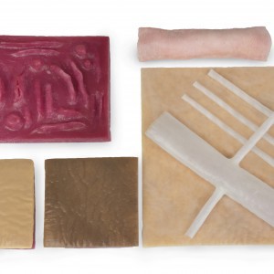 Deluxe Student Tissue Pack Syndaver.jpg (1)