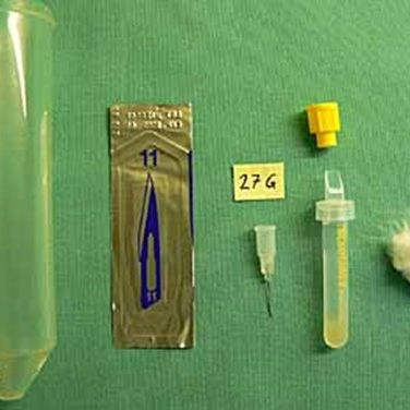 The equipment required for the procedure is (left to right): restraining tube, scalpel blade, 27-gauge syringe needle, blood collection tube and cotton wool.