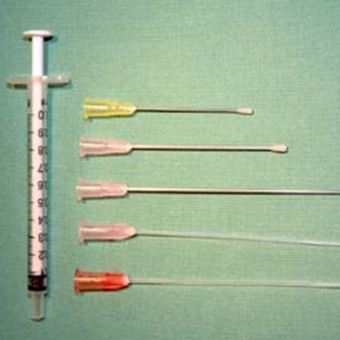 There are a number of different types of gavage needle on the market. We prefer these straight metal needles with a rounded point.
