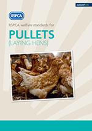 RSPCA welfare standards for pullets 2016