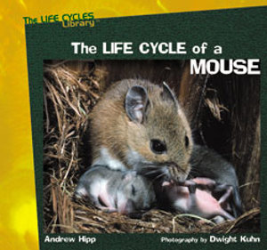 The Life Cycle of a Mouse 2002 The Life Cycle of a Mouse 2002