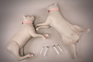 Feline UCATH Manikin P2C Feline UCATH Manikin P2C