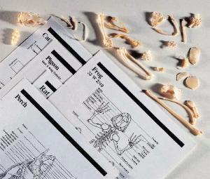 Wards Animal Bone Set 655775 Wards Animal Bone Set 655775