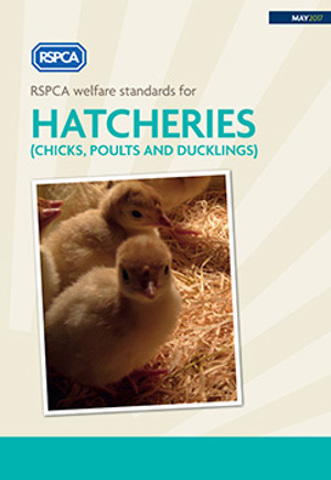 RSPCA welfare standards for hatcheries May 2017 RSPCA welfare standards for hatcheries May 2017