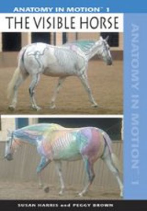 Anatomy in Motion I The Visible Horse DVD Anatomy in Motion I The Visible Horse DVD