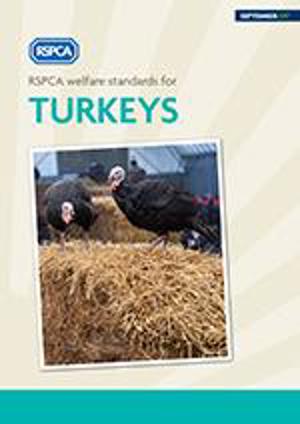 RSPCA welfare standards for turkeys 2017