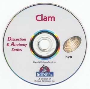 Dissection and Anatomy Series Clam W DVD2