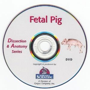 Dissection & Anatomy Series Fetal Pig W DVD 5