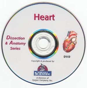 Dissection & Anatomy Series Heart Dissection on DVD W DVD 14 Dissection & Anatomy Series Heart Dissection on DVD W DVD 14