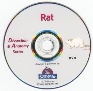 Dissection & Anatomy Series Rat Dissection on DVD W DVD 9
