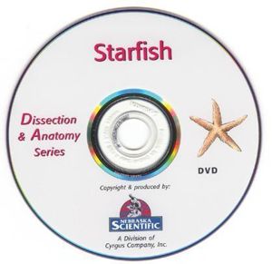 Dissection & Anatomy Series Starfish Dissection on DVD W DVD 11 Dissection & Anatomy Series Starfish Dissection on DVD W DVD 11