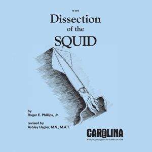 Dissection and Anatomy of the Squid 454390