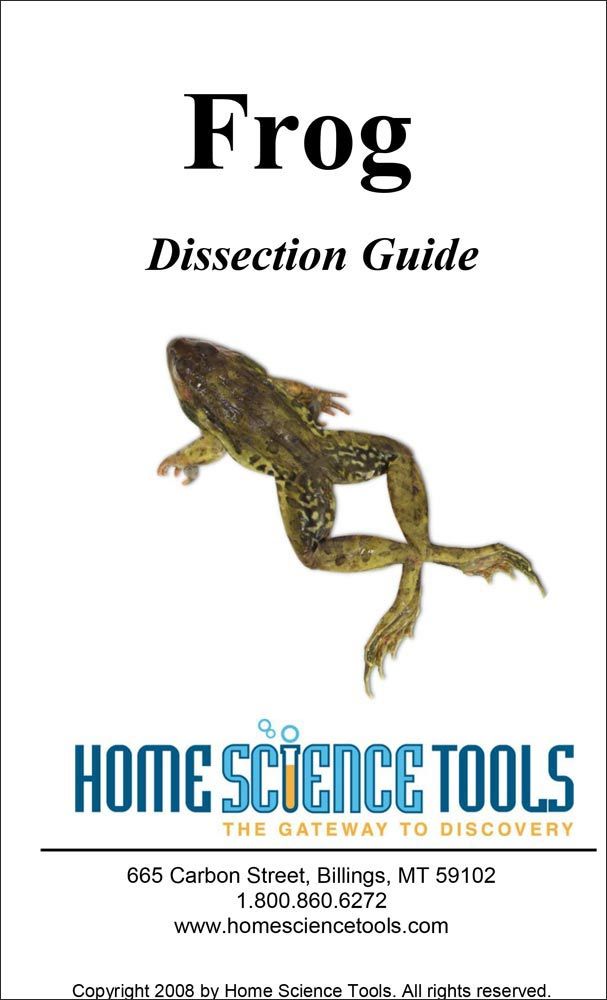 frog dissection manual