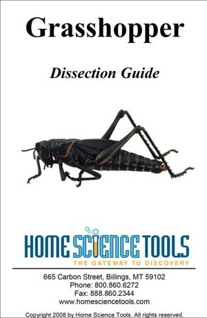 Grasshopper Dissection Guide DE GDGRASS