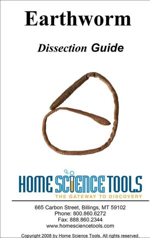 Earthworm Dissection Guide DE GDWORM