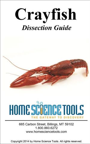 Crayfish Dissection Guide DE GDCRAW