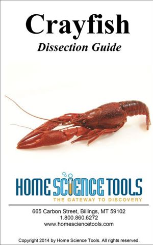 Crayfish Dissection Guide DE GDCRAW Crayfish Dissection Guide DE GDCRAW