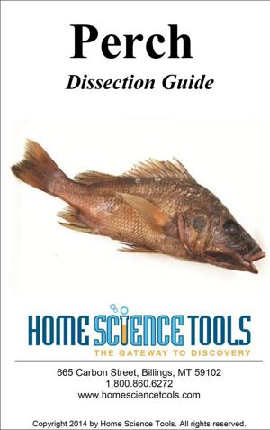 Perch Dissection Guide DE GDPERCH