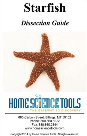 Starfish Dissection Guide DE GDSTAR