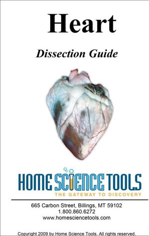 Heart Dissection Guide DE GDHEART