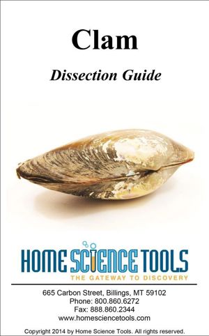 Clam Dissection Guide DE-GDCLAM