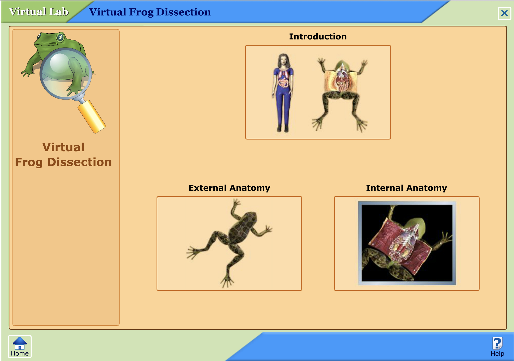 glencoe virtual frog dissection