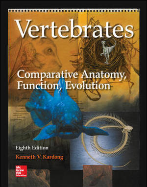 Vertebrae Vertebrae